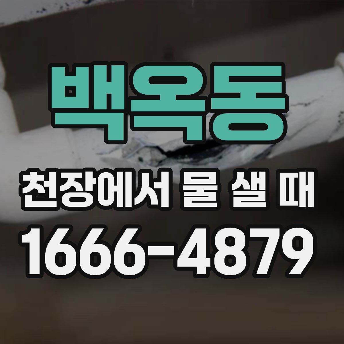 백옥동 천장에서 물 샐 때