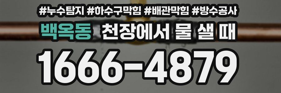백옥동 천장에서 물 샐 때