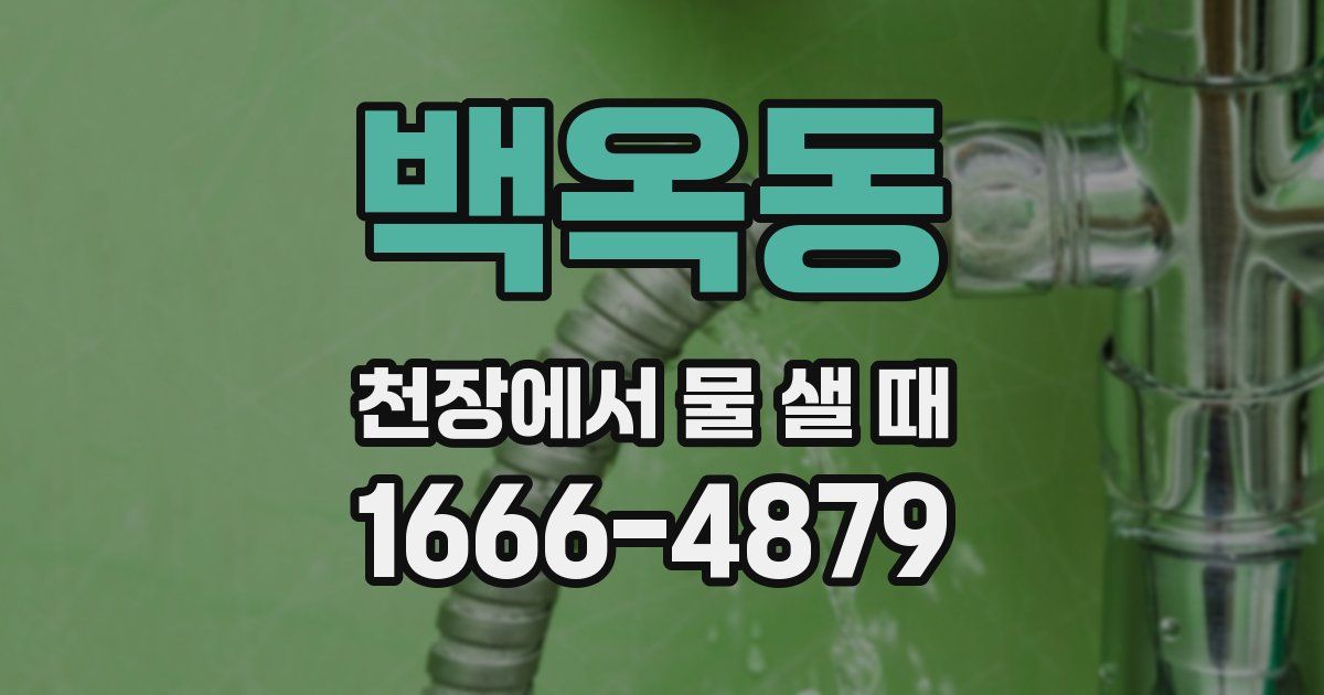 백옥동 천장에서 물 샐 때