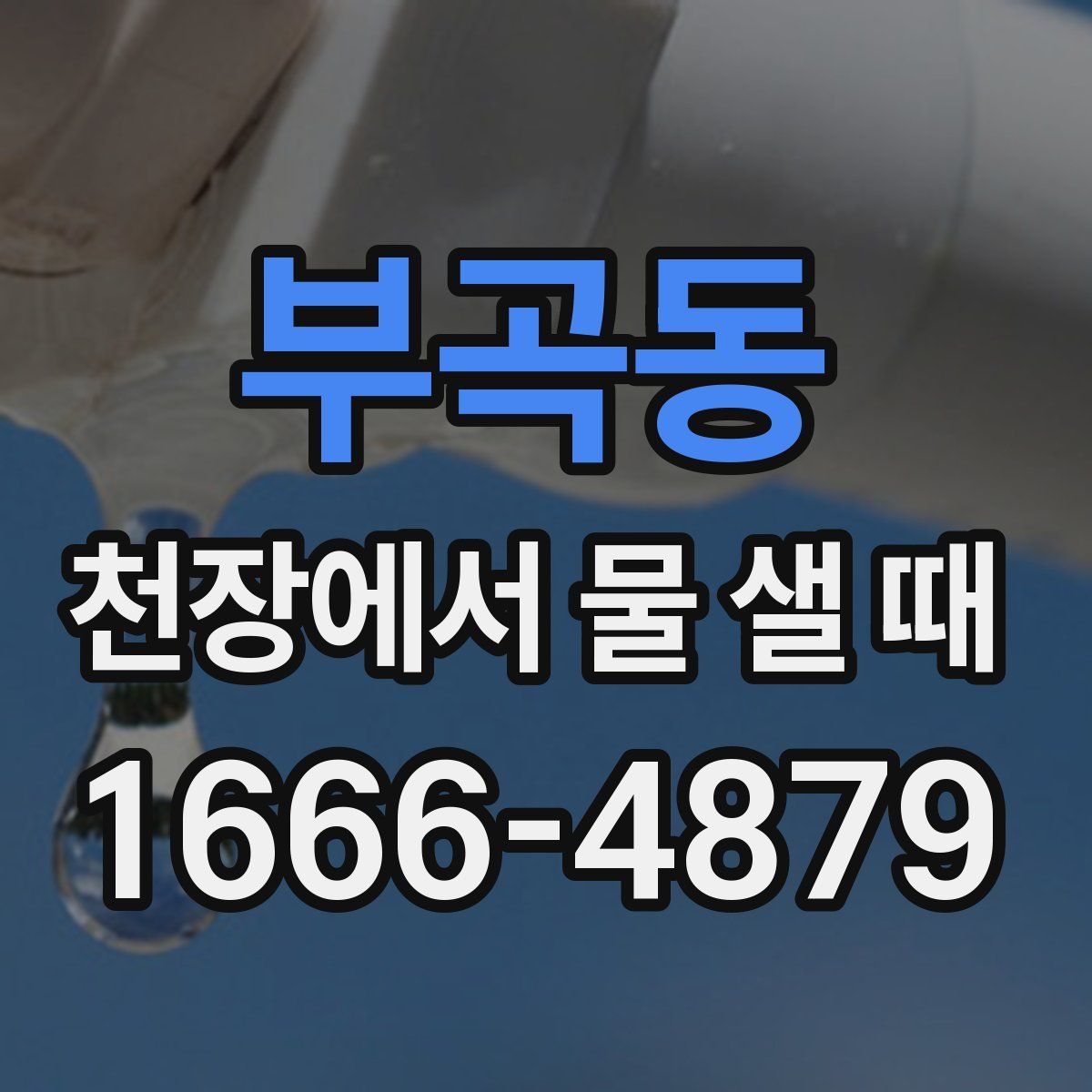 부곡동 천장에서 물 샐 때