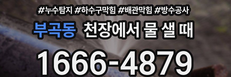 부곡동 천장에서 물 샐 때