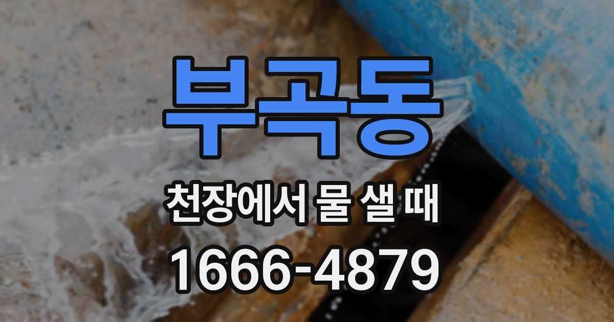 부곡동 천장에서 물 샐 때