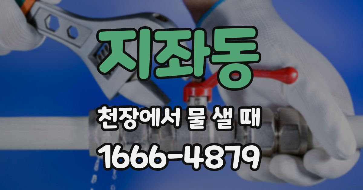 지좌동 천장에서 물 샐 때