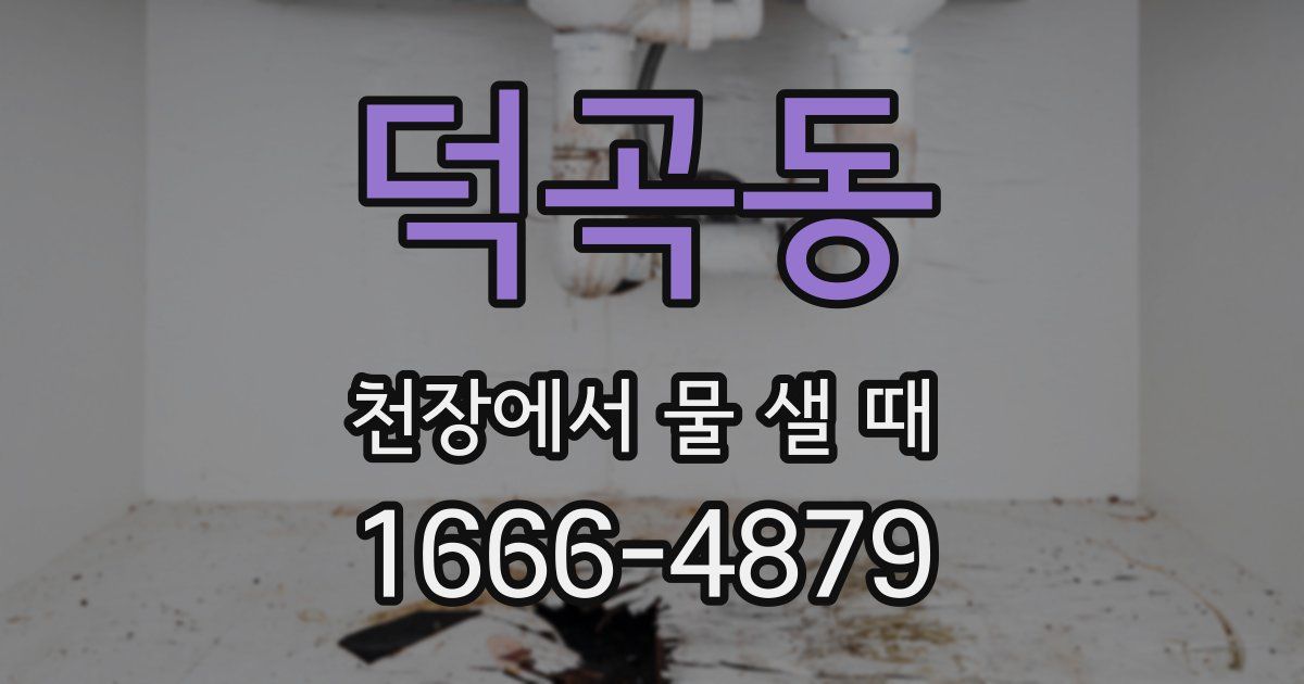 덕곡동 천장에서 물 샐 때