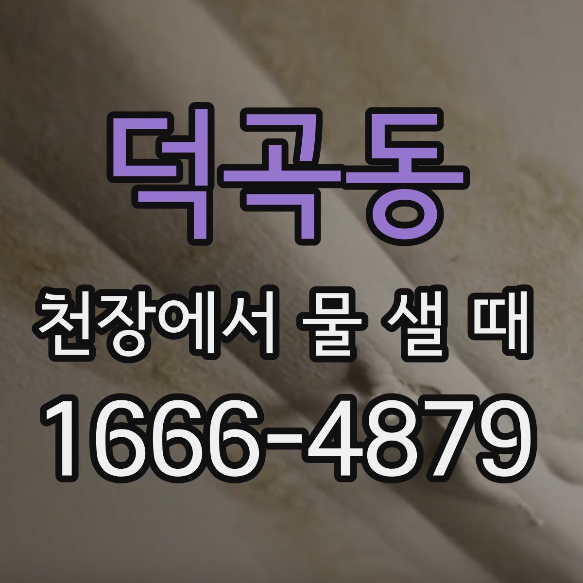 덕곡동 천장에서 물 샐 때