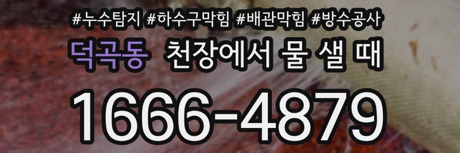 덕곡동 천장에서 물 샐 때
