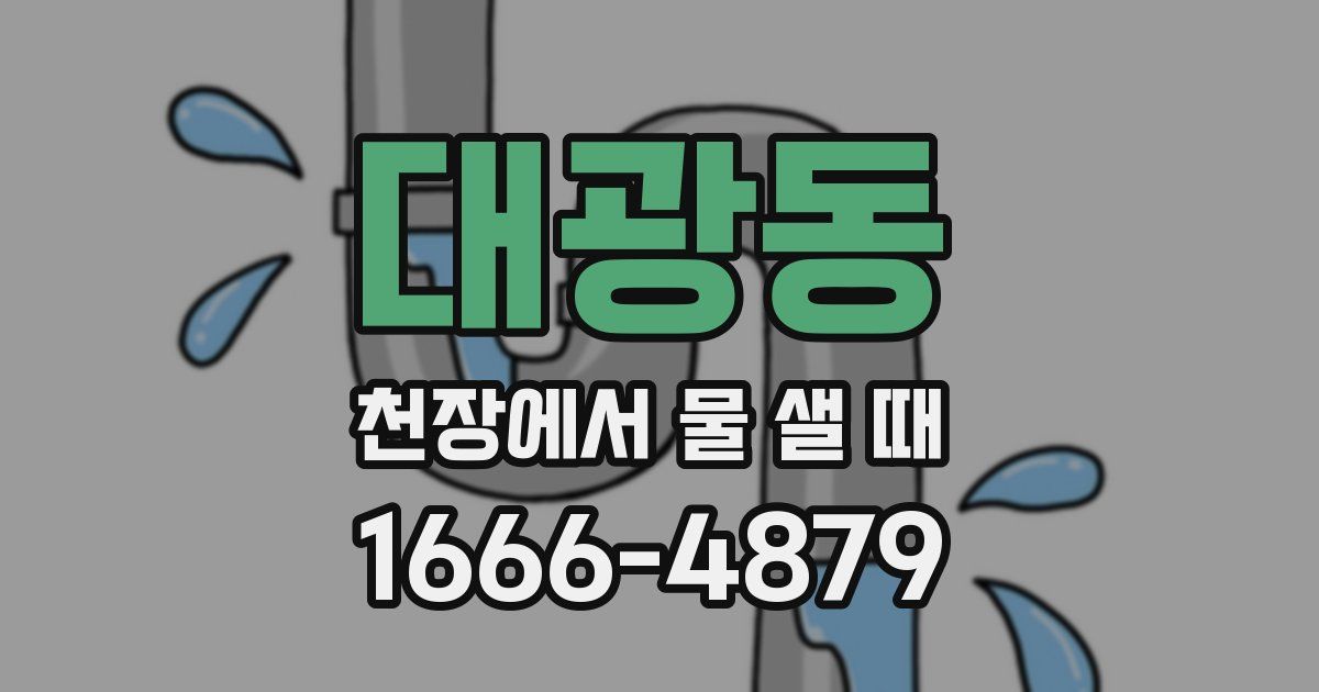 대광동 천장에서 물 샐 때