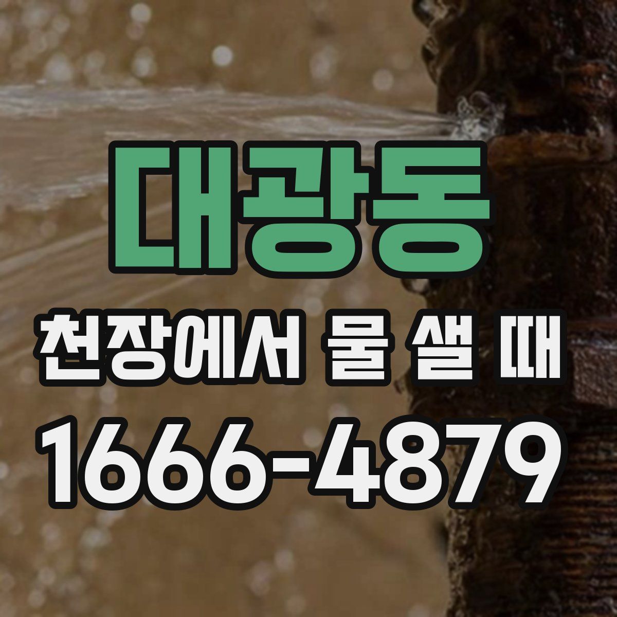 대광동 천장에서 물 샐 때