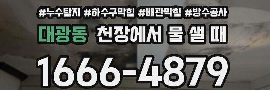 대광동 천장에서 물 샐 때