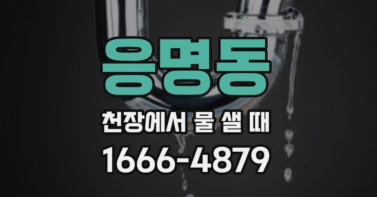 응명동 천장에서 물 샐 때
