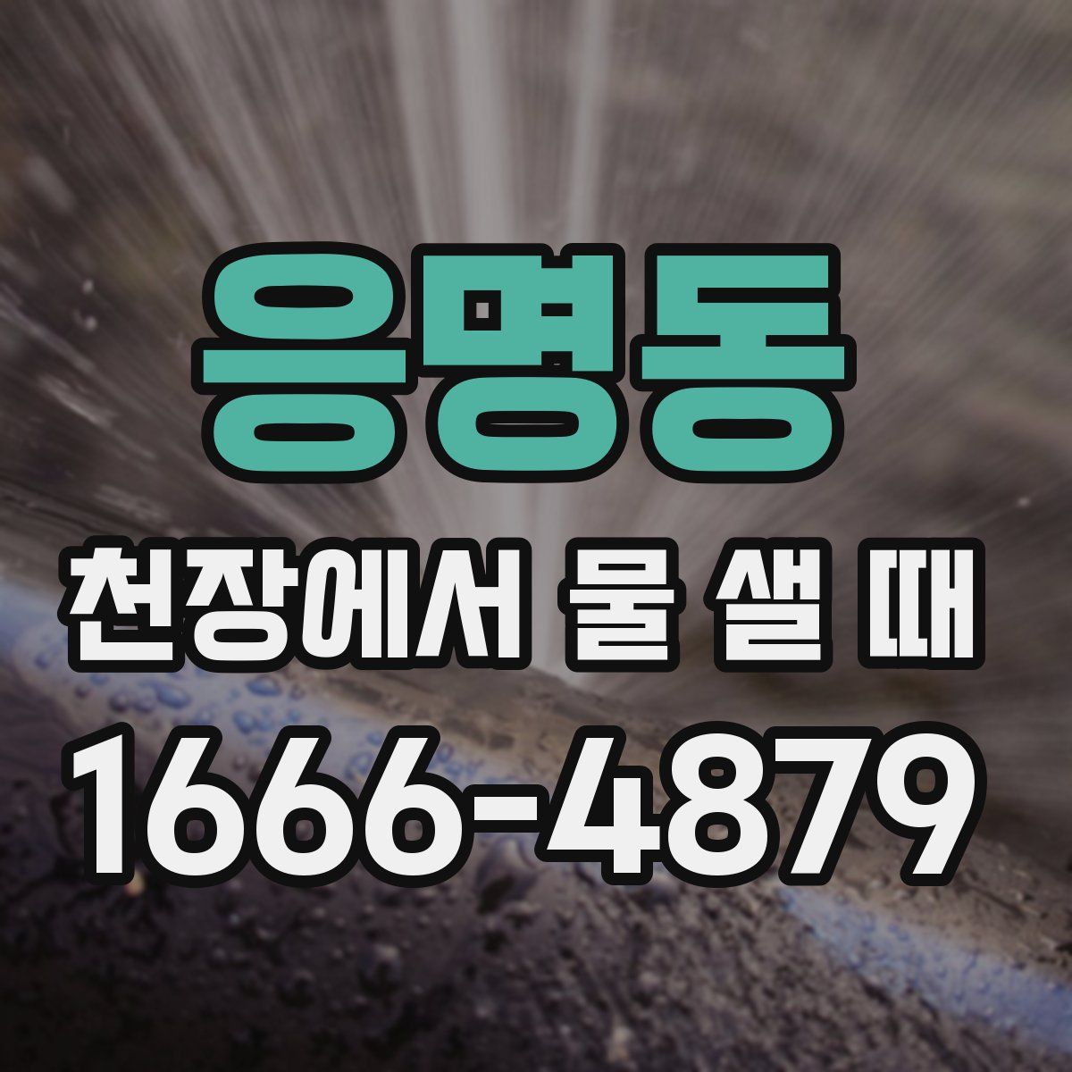응명동 천장에서 물 샐 때