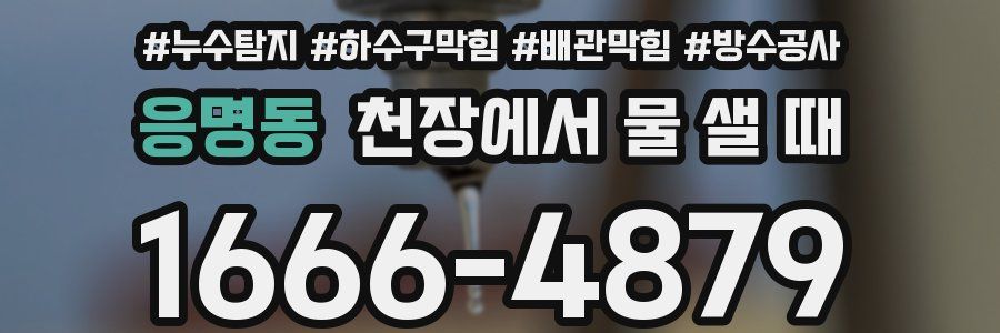 응명동 천장에서 물 샐 때