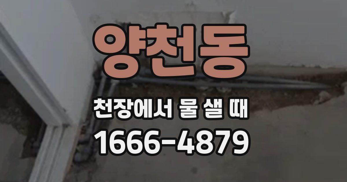 양천동 천장에서 물 샐 때
