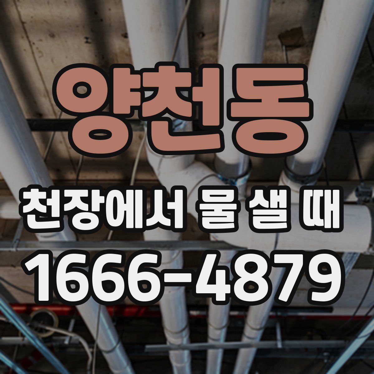 양천동 천장에서 물 샐 때