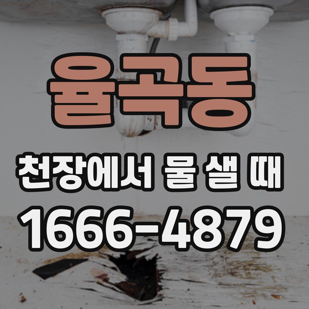 율곡동 천장에서 물 샐 때