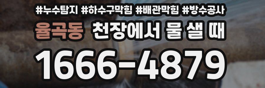 율곡동 천장에서 물 샐 때
