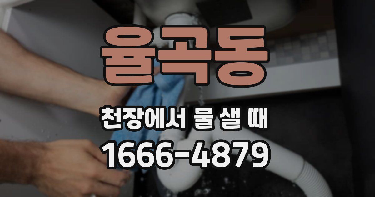 율곡동 천장에서 물 샐 때