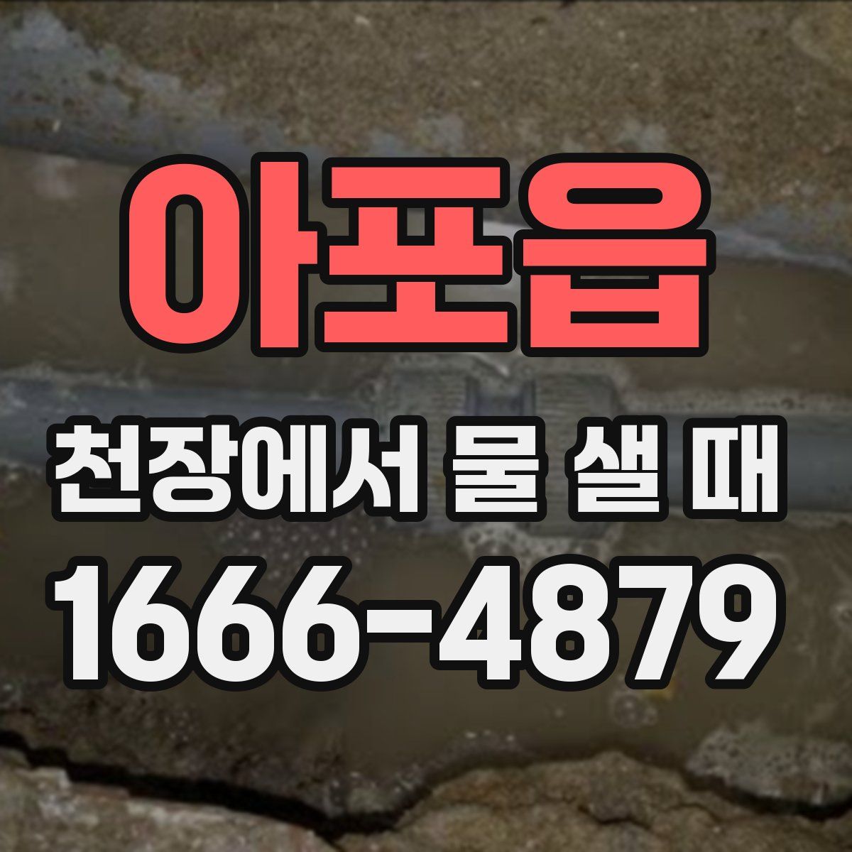 아포읍 천장에서 물 샐 때