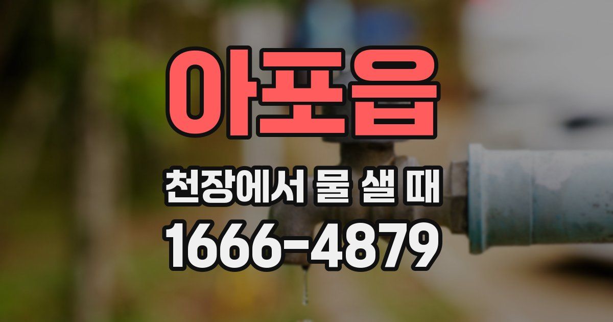 아포읍 천장에서 물 샐 때
