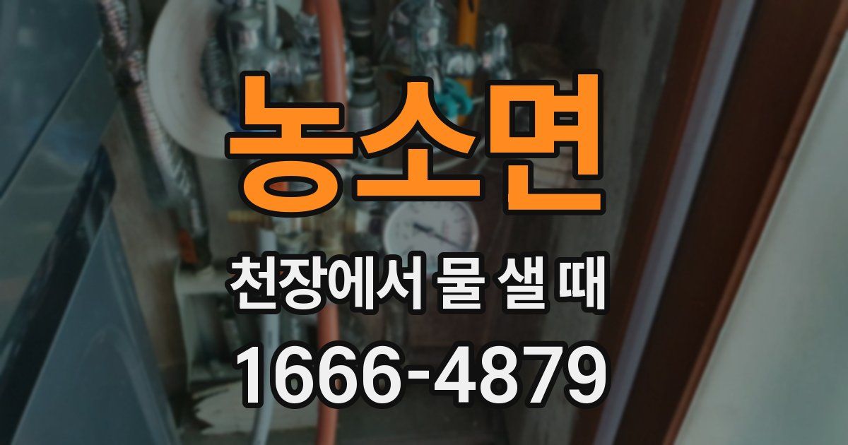 농소면 천장에서 물 샐 때