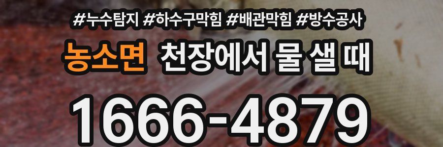 농소면 천장에서 물 샐 때