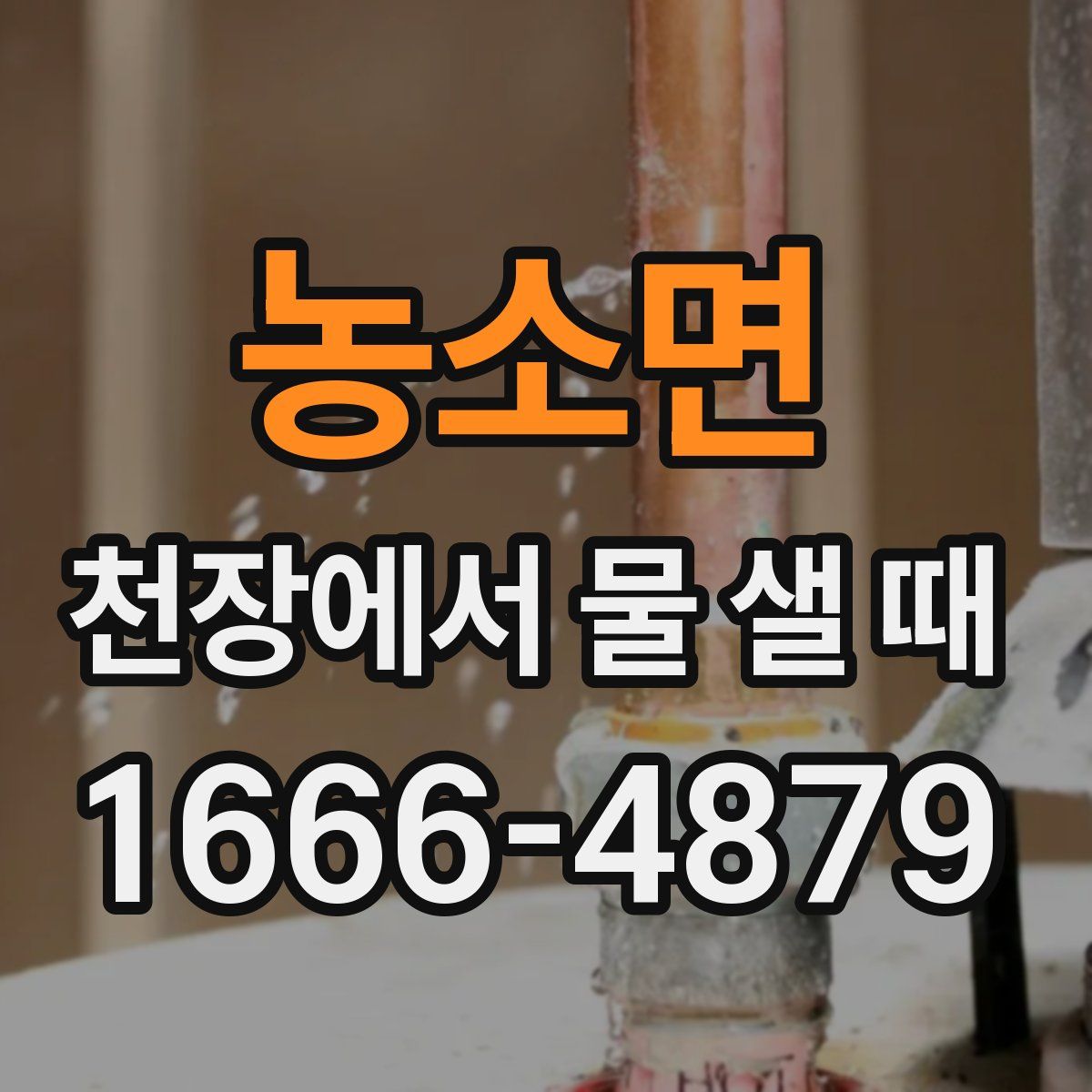 농소면 천장에서 물 샐 때