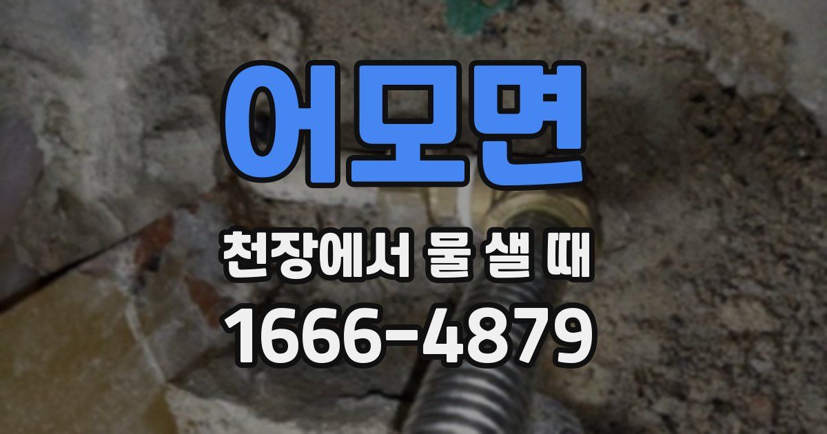 어모면 천장에서 물 샐 때