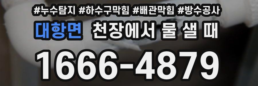 대항면 천장에서 물 샐 때