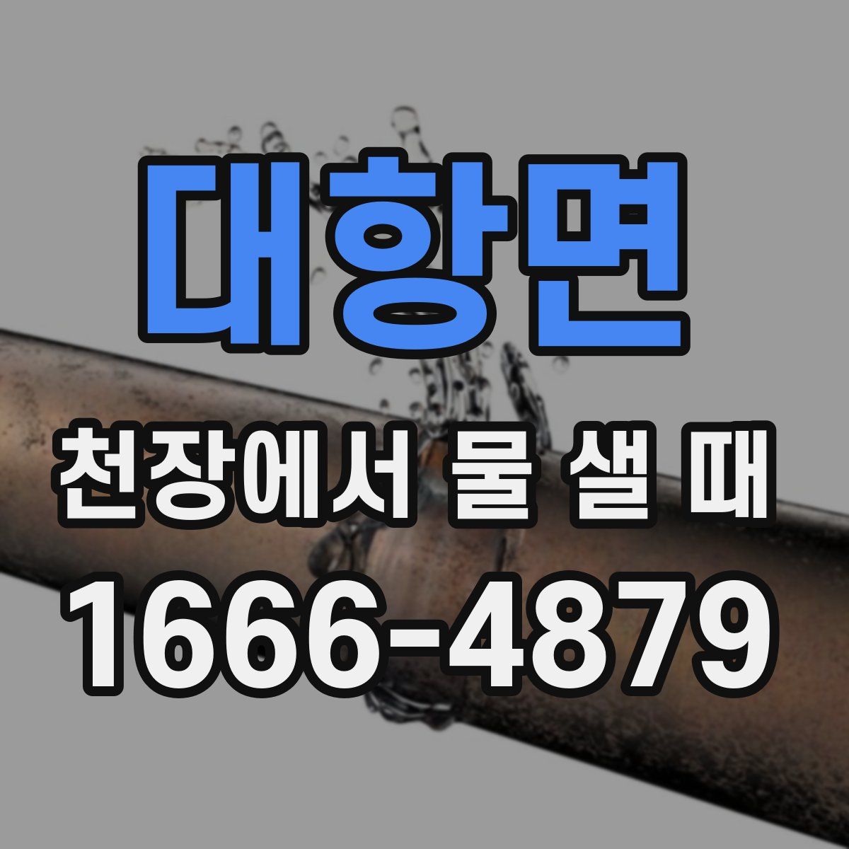 대항면 천장에서 물 샐 때