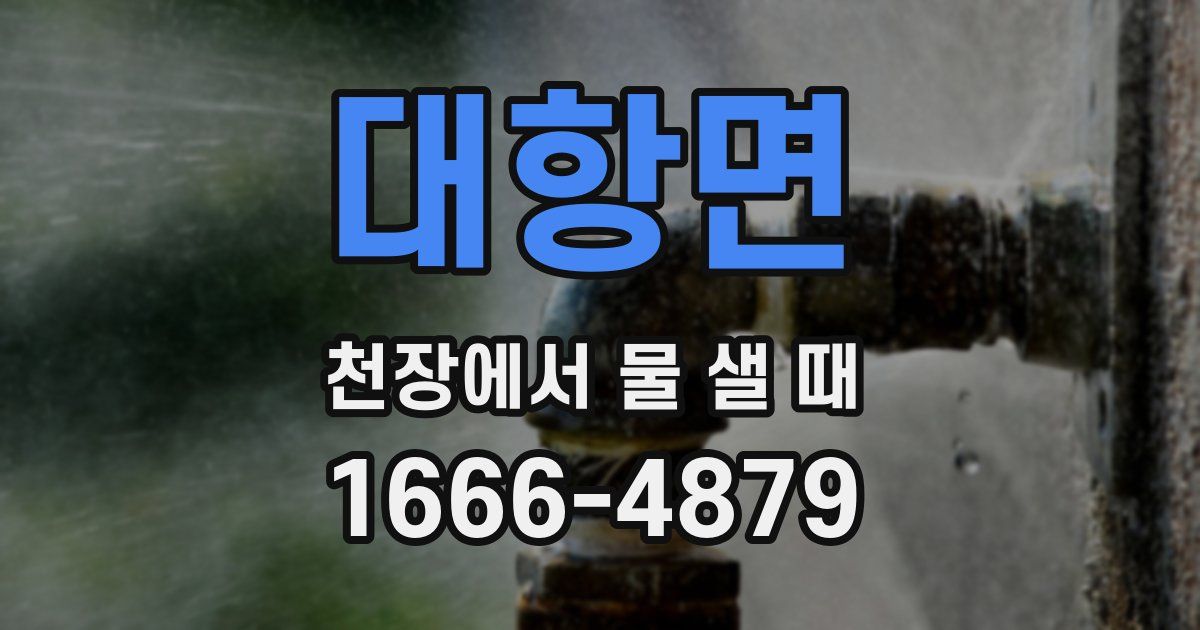 대항면 천장에서 물 샐 때