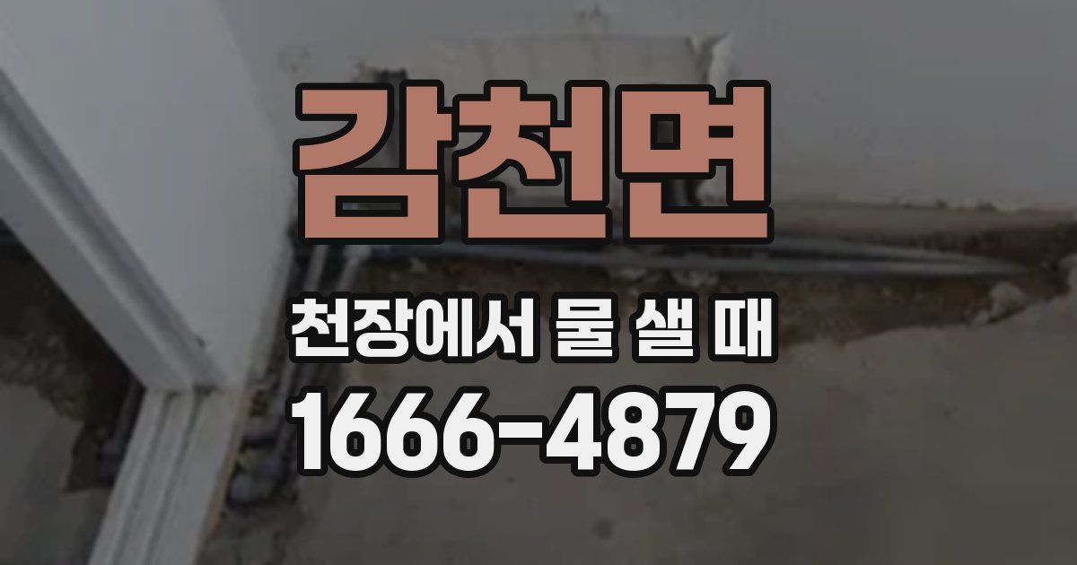 감천면 천장에서 물 샐 때