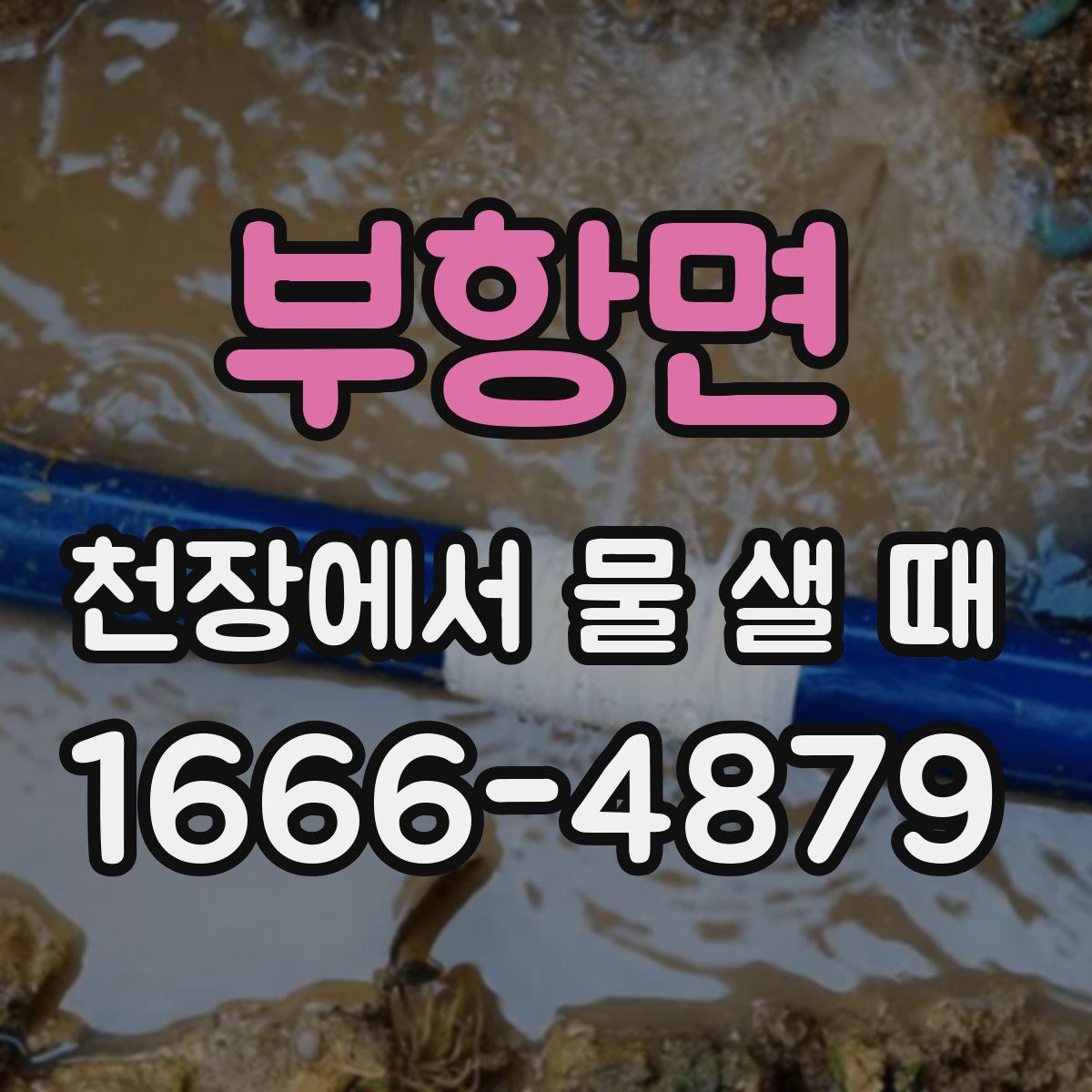 부항면 천장에서 물 샐 때