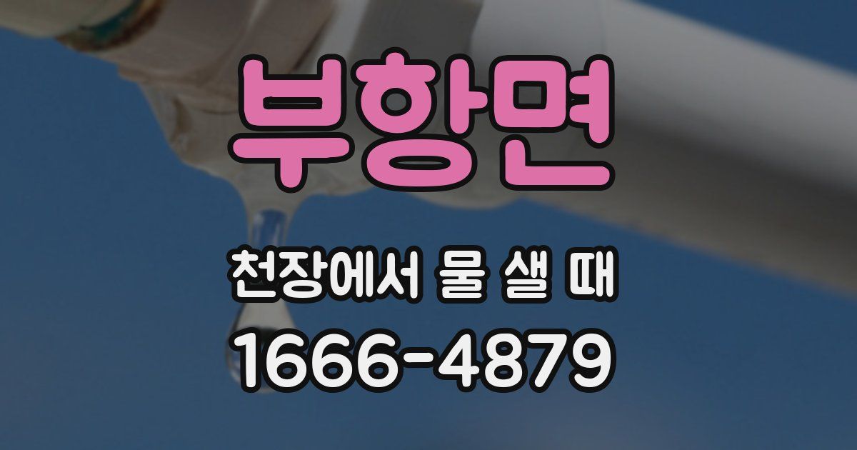 부항면 천장에서 물 샐 때