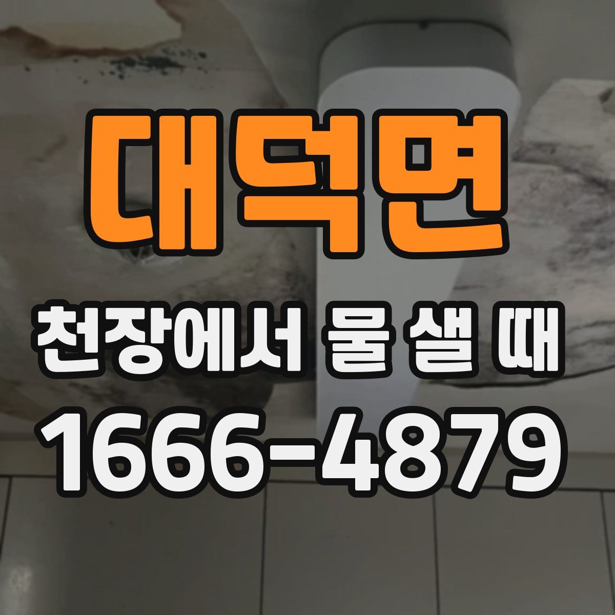 대덕면 천장에서 물 샐 때