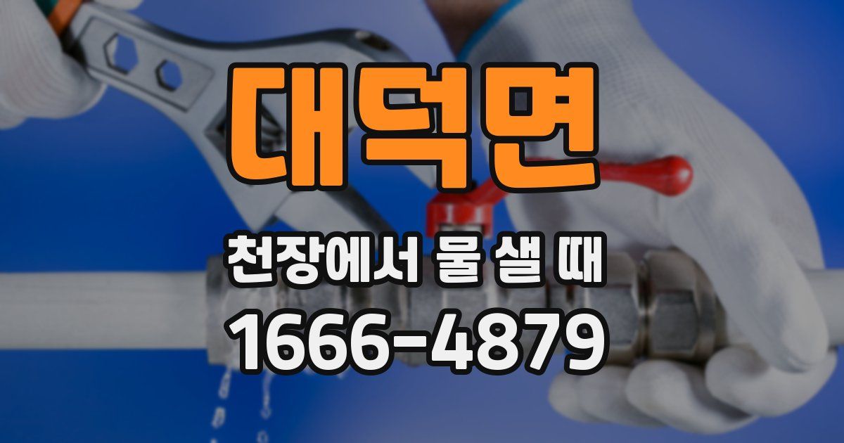 대덕면 천장에서 물 샐 때