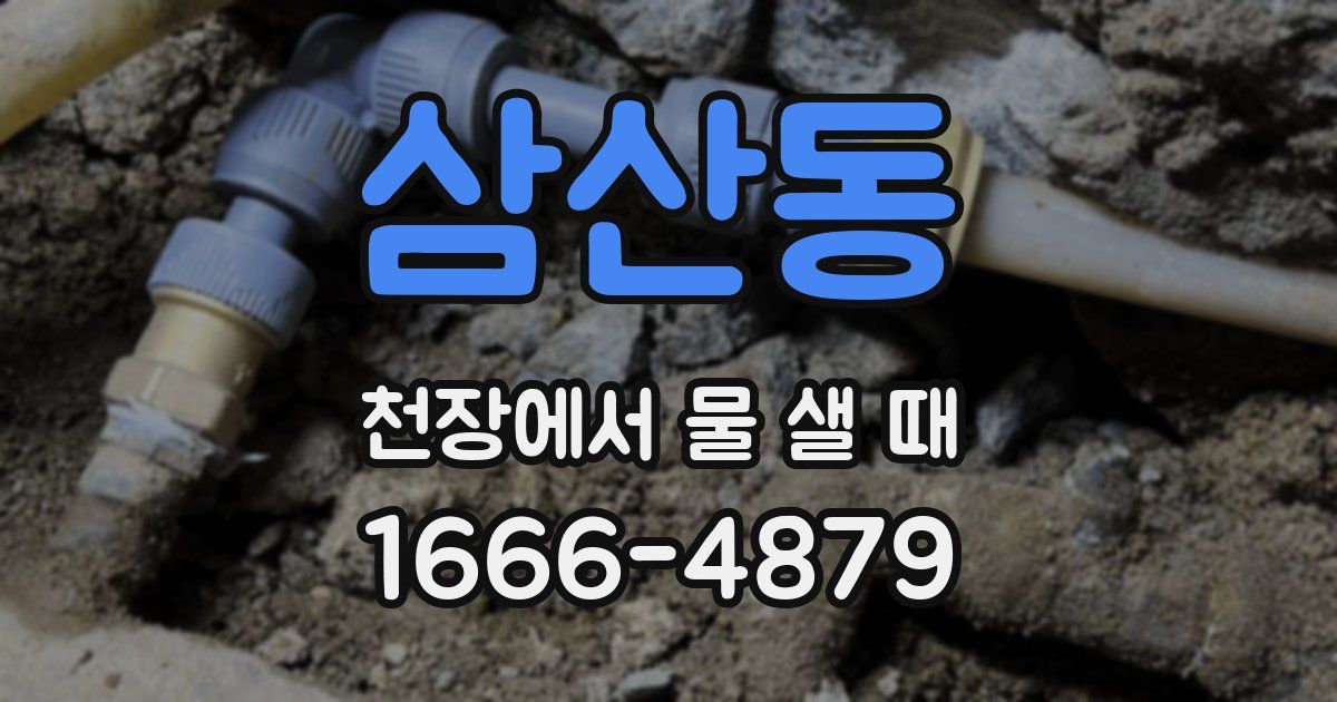 삼산동 천장에서 물 샐 때