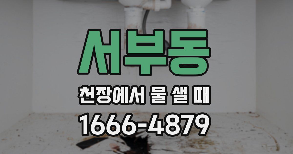 서부동 천장에서 물 샐 때