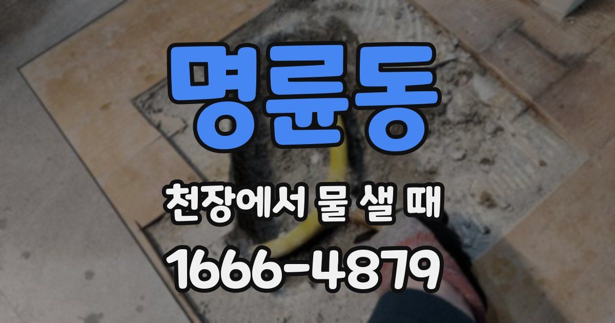 명륜동 천장에서 물 샐 때