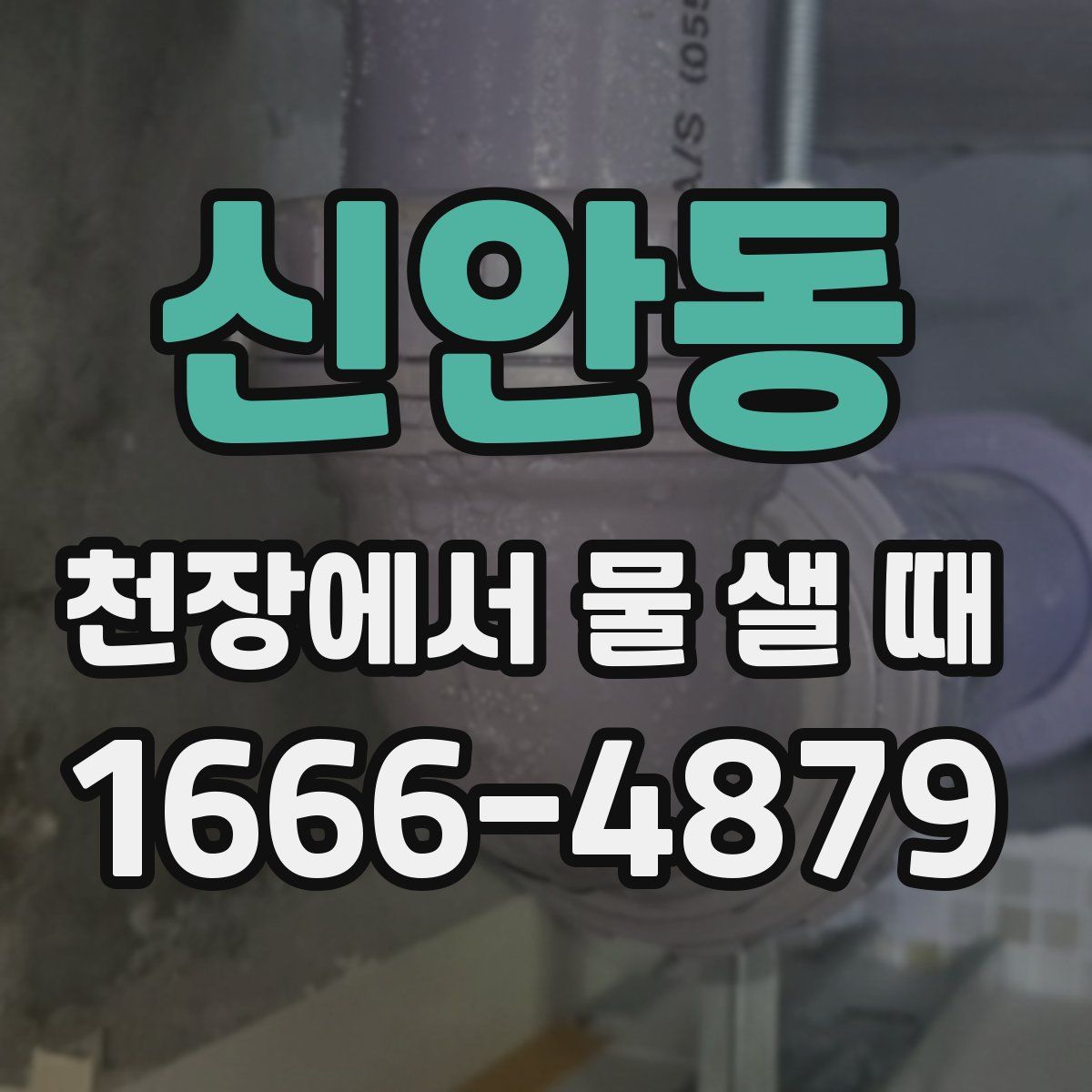 신안동 천장에서 물 샐 때