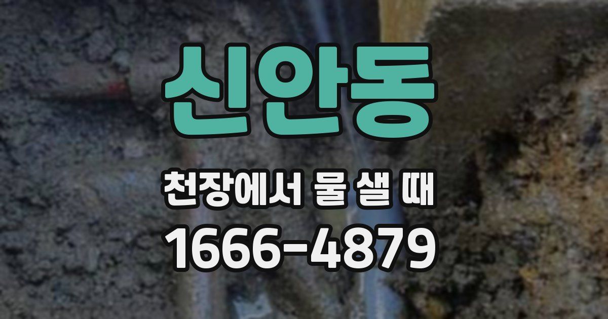신안동 천장에서 물 샐 때