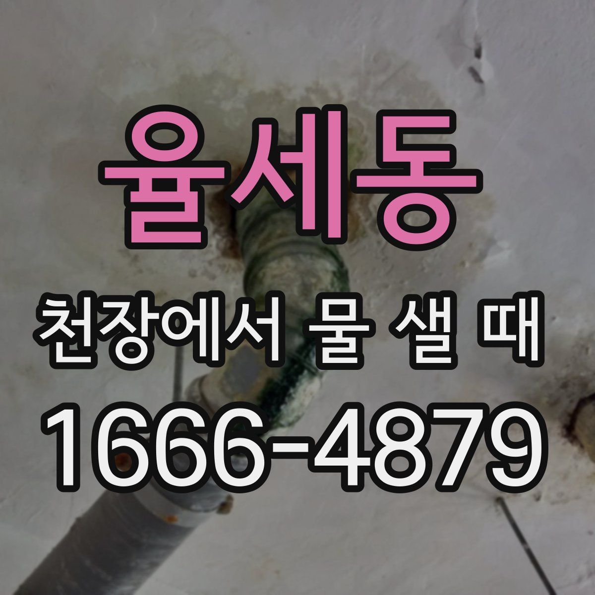 율세동 천장에서 물 샐 때