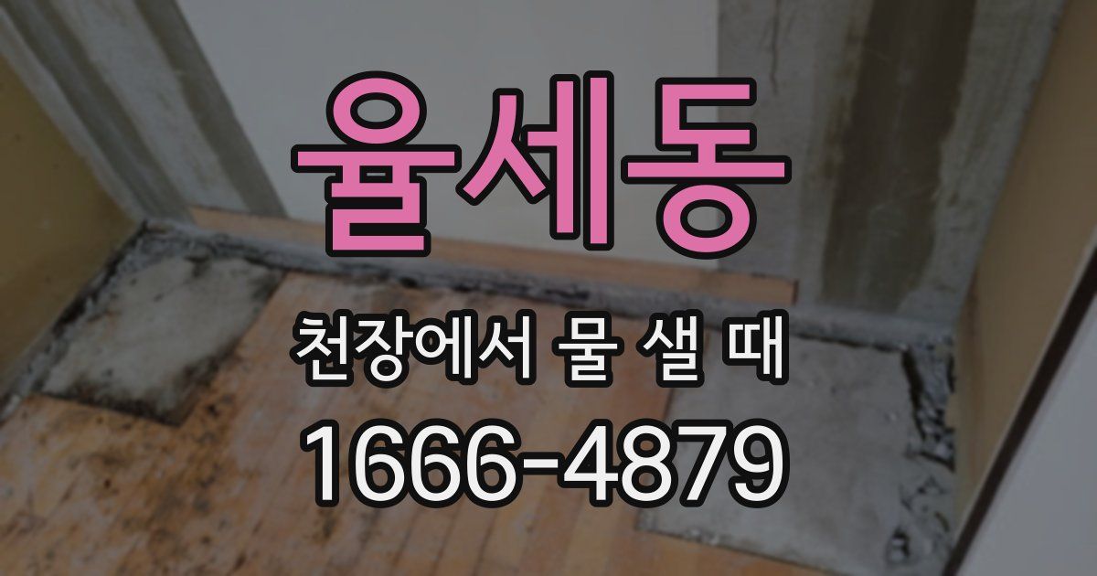 율세동 천장에서 물 샐 때