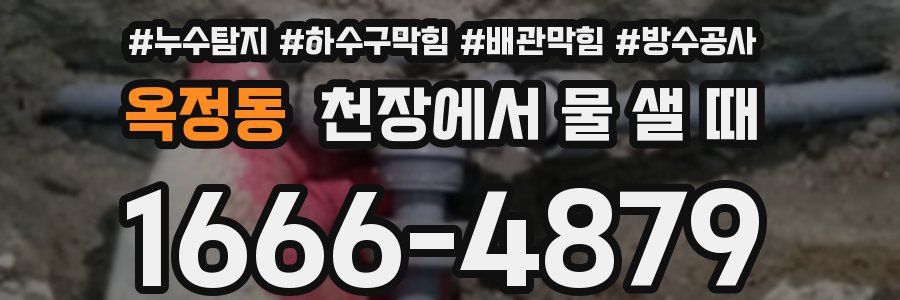 옥정동 천장에서 물 샐 때