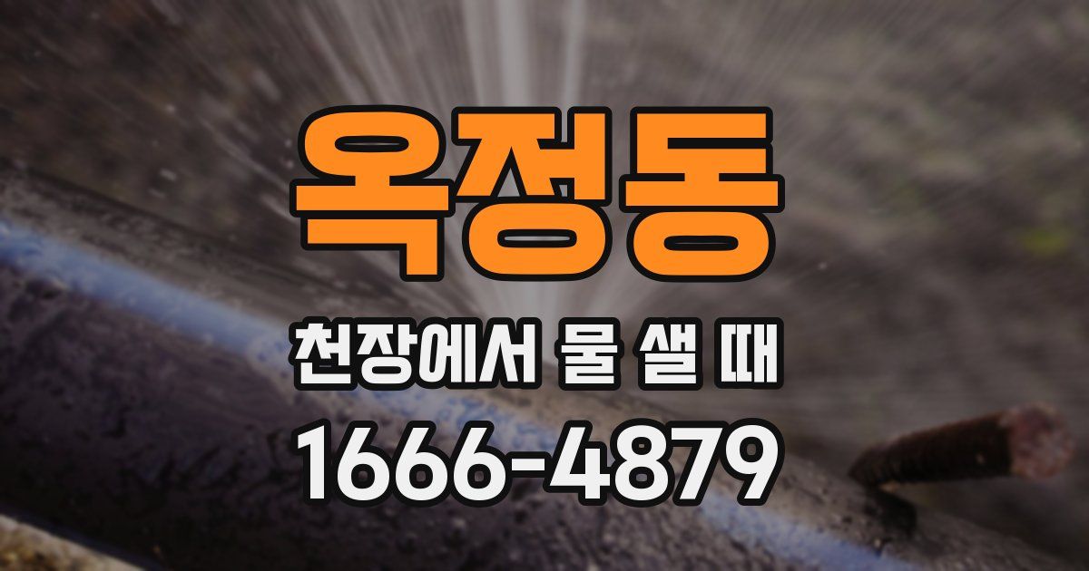 옥정동 천장에서 물 샐 때