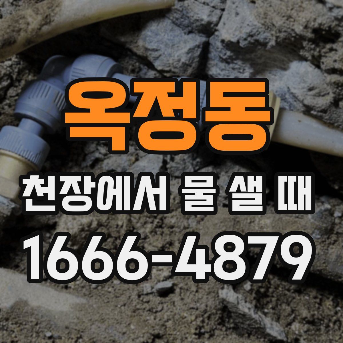 옥정동 천장에서 물 샐 때