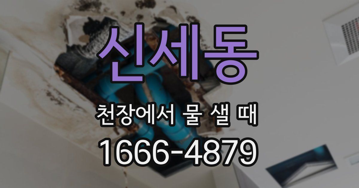 신세동 천장에서 물 샐 때