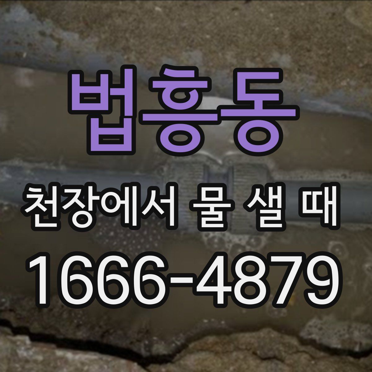 법흥동 천장에서 물 샐 때