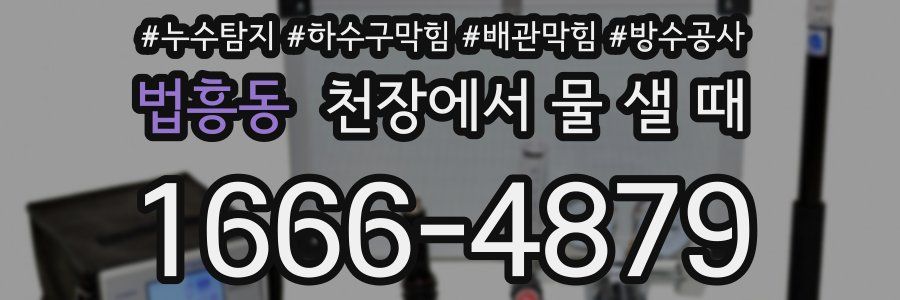 법흥동 천장에서 물 샐 때