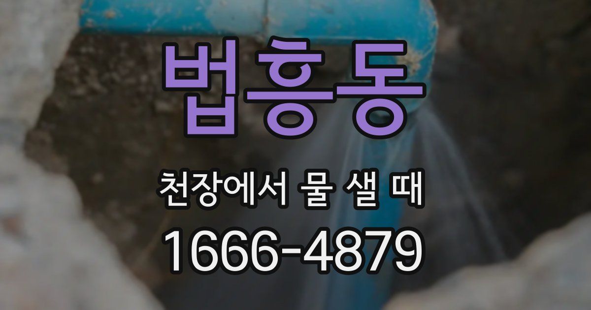 법흥동 천장에서 물 샐 때