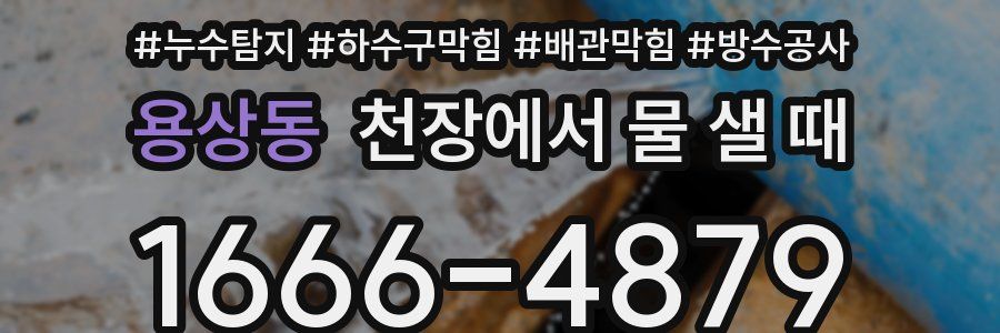 용상동 천장에서 물 샐 때